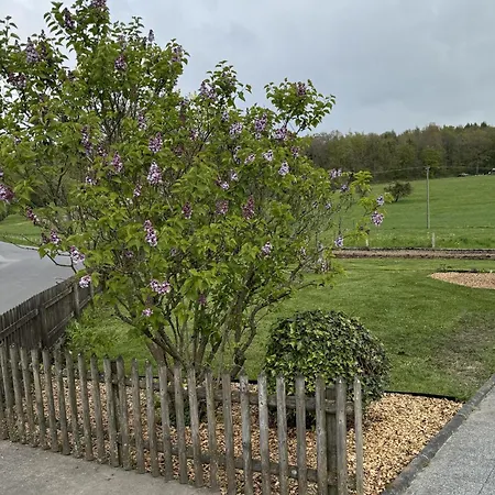 Haus Hanni Holiday home *