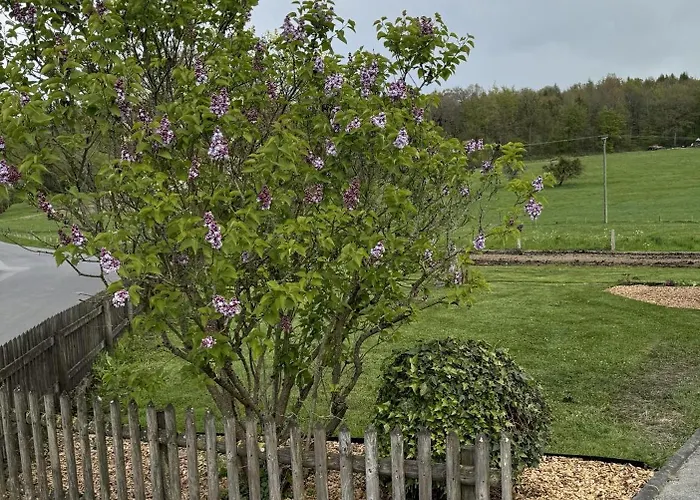 Haus Hanni Holiday home *